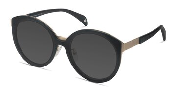 Black Sunshine -  Acetate Sunglasses