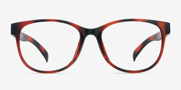 Warren Marron Plastique Montures de lunettes de vue