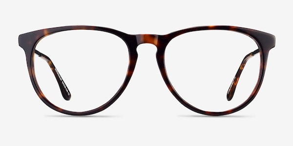Ultraviolet Écailles Acetate-metal Montures de Lunette de vue