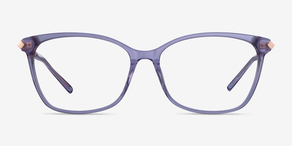 Ashley Purple Acetate-metal Eyeglass Frames