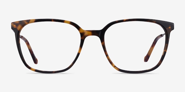 Confident Tortoise Silver Acetate Eyeglass Frames