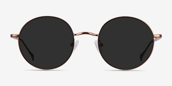 Sun Synapse Brown Metal Sunglass Frames