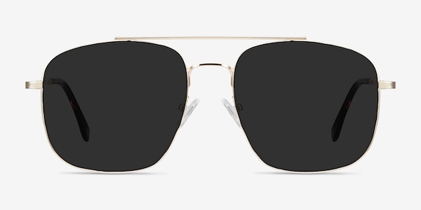 Roadtrip Golden Metal Sunglass Frames