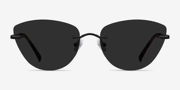 Linger Black Metal Sunglass Frames