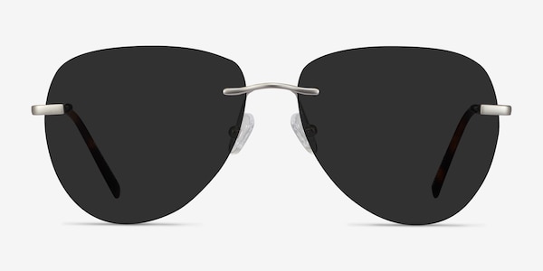 Martin Matte Silver Metal Sunglass Frames