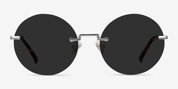 Wise Silver Metal Sunglass Frames