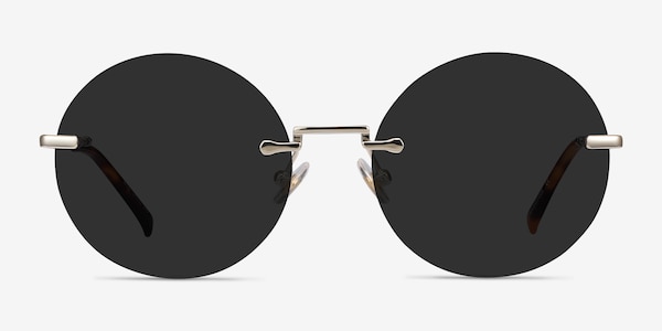 Wise Gold Metal Sunglass Frames
