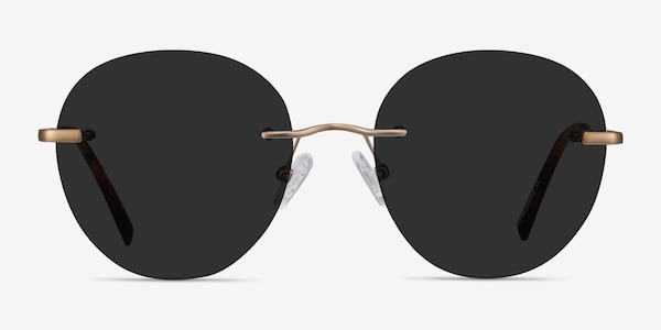Coast Bronze Metal Sunglass Frames