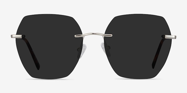 Genoa Silver Metal Sunglass Frames