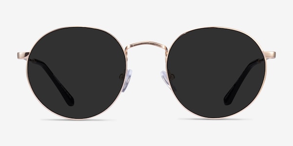 Disclosure Gold Metal Sunglass Frames