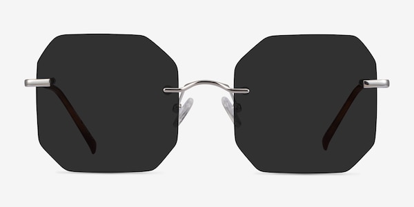 Elmira Silver Metal Sunglass Frames