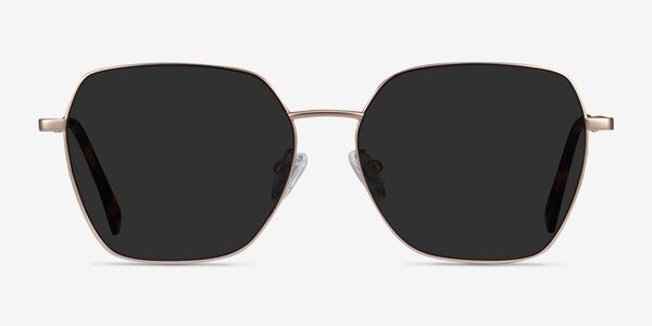 Ginza Gold Metal Sunglass Frames