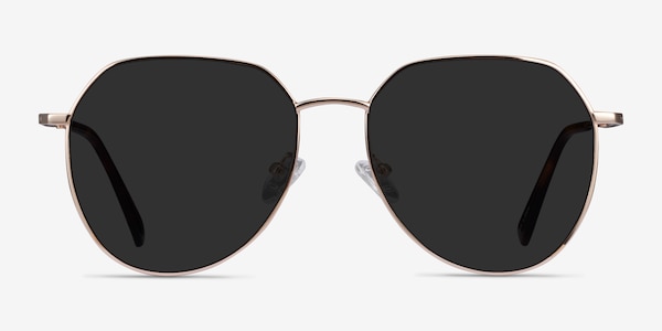 Carlsbad Gold Metal Sunglass Frames