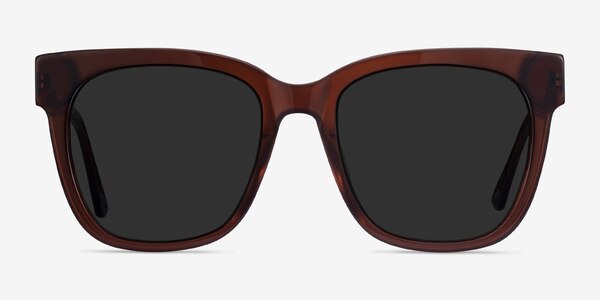Erica Coffee Acetate-metal Sunglass Frames