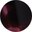Pink Tortoise
